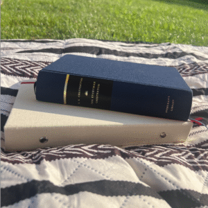 Two books on a patterned blanket outdoors.